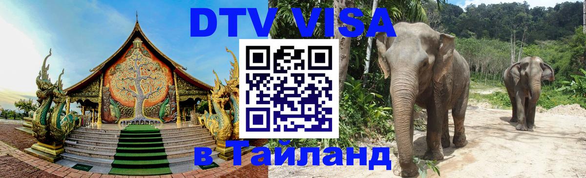 Оформление DTV визы под ключ: стоимость и тарифы, только загранпаспорт - 